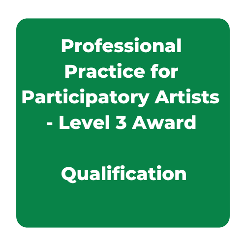 Professional Practice for Participatory Artists - Level 3 Award