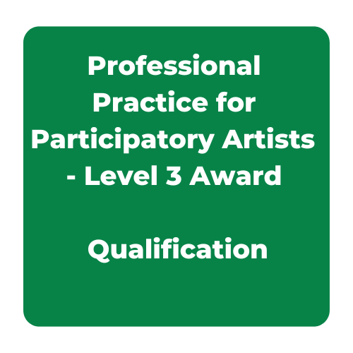 Professional Practice for Participatory Artists  - Level 3 Award